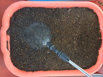pouziti postrikovac microgreens